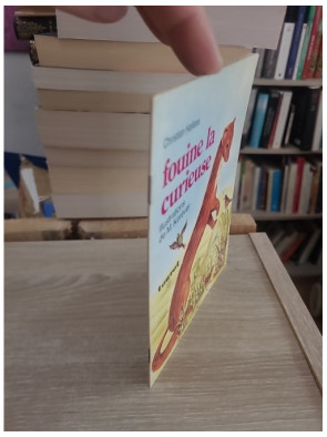 Fouine la Curieuse - Histoire jeunesse autour de la curiosité et de la découverte