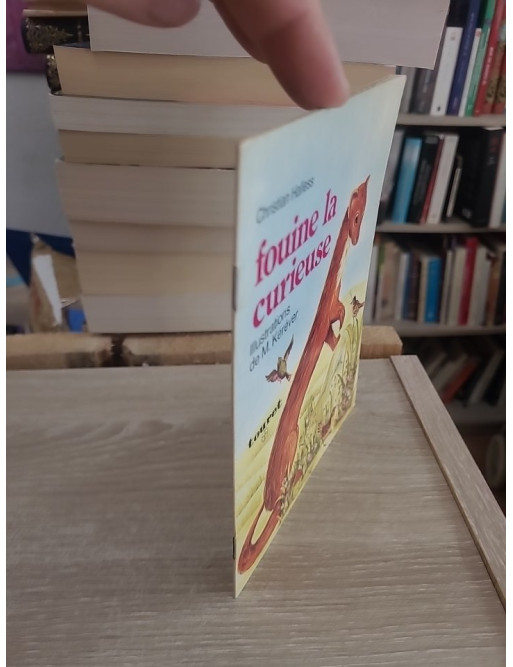 Fouine la Curieuse - Histoire jeunesse autour de la curiosité et de la découverte