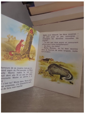 Fouine la Curieuse - Histoire jeunesse autour de la curiosité et de la découverte