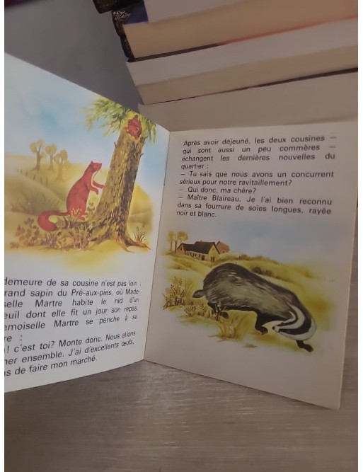 Fouine la Curieuse - Histoire jeunesse autour de la curiosité et de la découverte