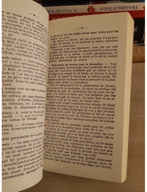 Le jardinier provençal - Guide pratique du jardinage en Provence