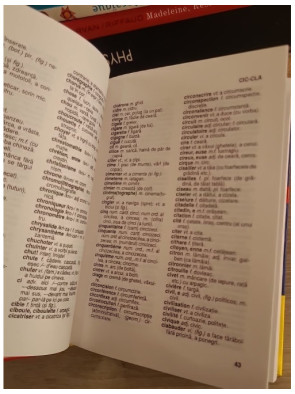 Dictionar Francez Roman - Dictionnaire français-roumain