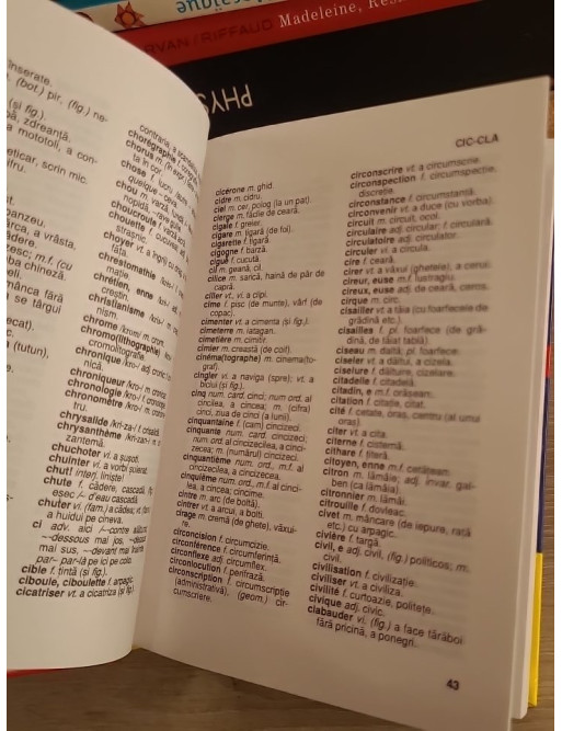 Dictionar Francez Roman - Dictionnaire français-roumain