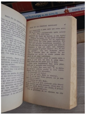 Maïk et le château sanglant - Collection Terrific