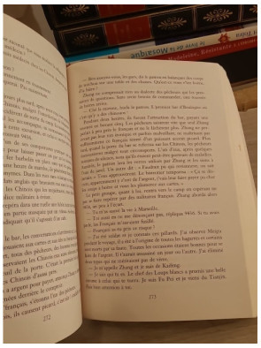 La porte du vent - Polar historique au cœur de la Première Guerre mondiale