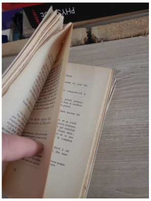 L'œuvre mystique de Henri Suso - La Vie, Livret de l'éternelle sagesse, Livret de la vérité et des lettres