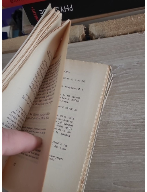 L'œuvre mystique de Henri Suso - La Vie, Livret de l'éternelle sagesse, Livret de la vérité et des lettres