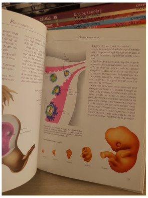 Encyclopédie de la vie sexuelle 10-13 ans - Guide éducatif illustré pour adolescents