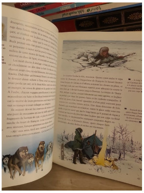 L'Appel de la forêt - Roman d'aventure et nature sauvage illustré