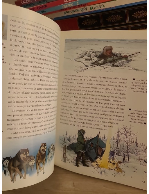 L'Appel de la forêt - Roman d'aventure et nature sauvage illustré