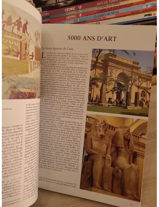 Art et histoire de l'Égypte - 5000 ans de civilisation illustrée