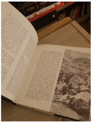 L'herbe de soleil - Œuvre littéraire sans disque vinyle