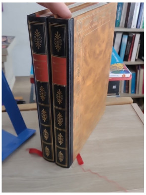 Dictionnaire encyclopédique de la peinture - Édition complète en 2 tomes