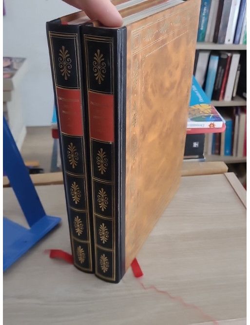 Dictionnaire encyclopédique de la peinture - Édition complète en 2 tomes