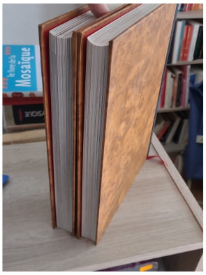 Dictionnaire encyclopédique de la peinture - Édition complète en 2 tomes