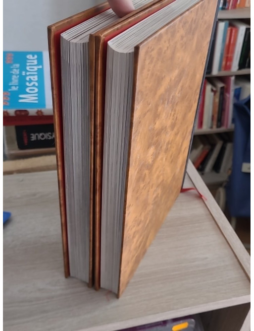 Dictionnaire encyclopédique de la peinture - Édition complète en 2 tomes