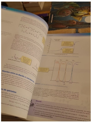 Chimie 3 - Introduction à la chimie inorganique, organique et physique (manuel complet)