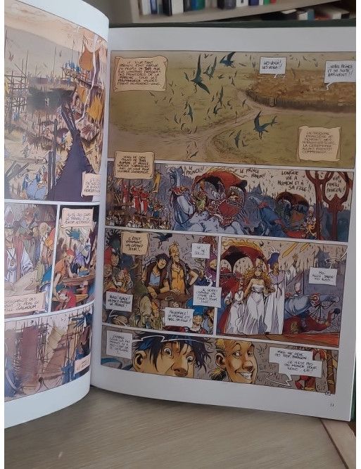 La Quête de l'Oiseau du Temps Tome 5 - L'Ami Javin (BD fantasy)