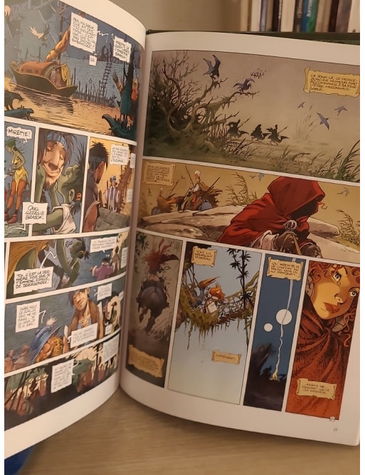 La Quête de l'Oiseau du Temps - Avant la Quête Tome 2 - Le grimoire des dieux (BD fantasy)