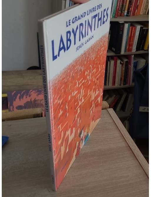 Le grand livre des labyrinthes (album jeunesse de jeux et aventures)