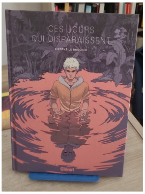Ces jours qui disparaissent (roman graphique fantastique sur l’identité)