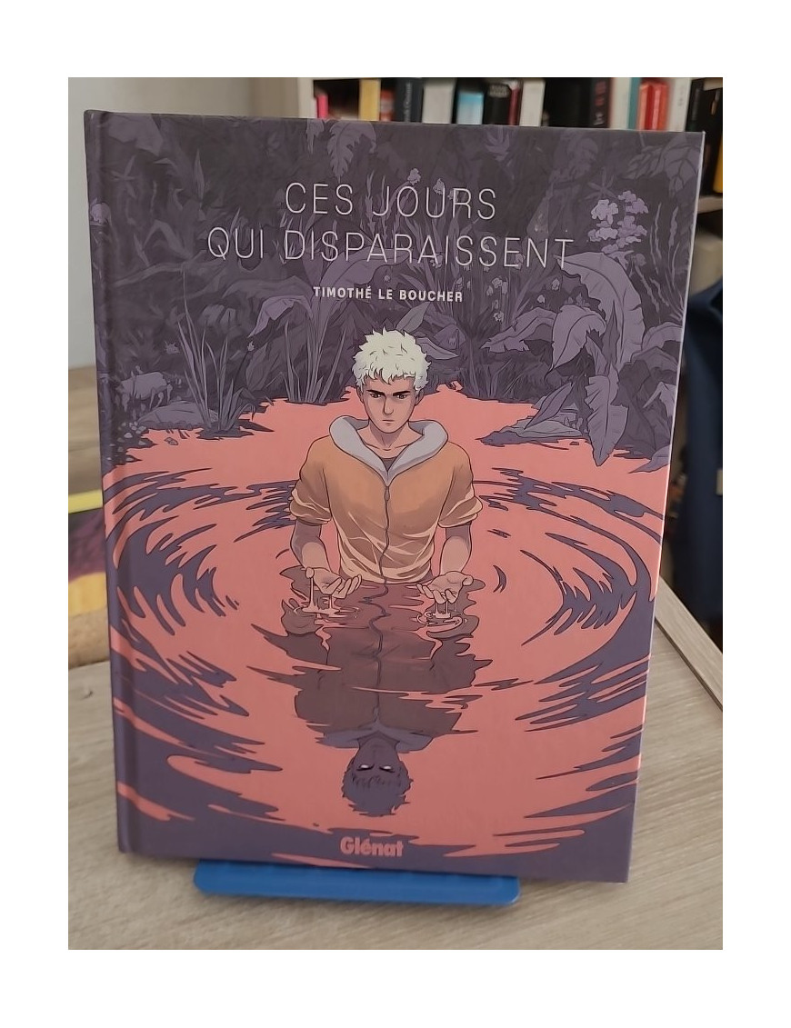 Ces jours qui disparaissent (roman graphique fantastique sur l’identité)