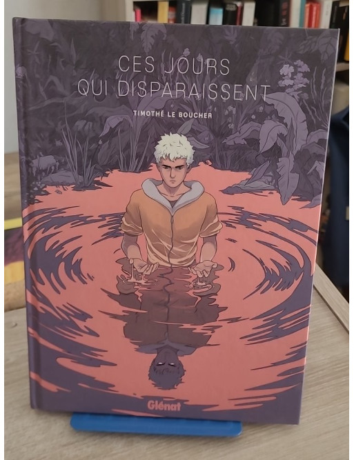 Ces jours qui disparaissent (roman graphique fantastique sur l’identité)