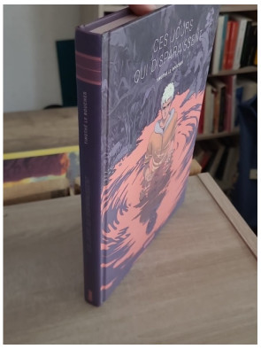 Ces jours qui disparaissent (roman graphique fantastique sur l’identité)