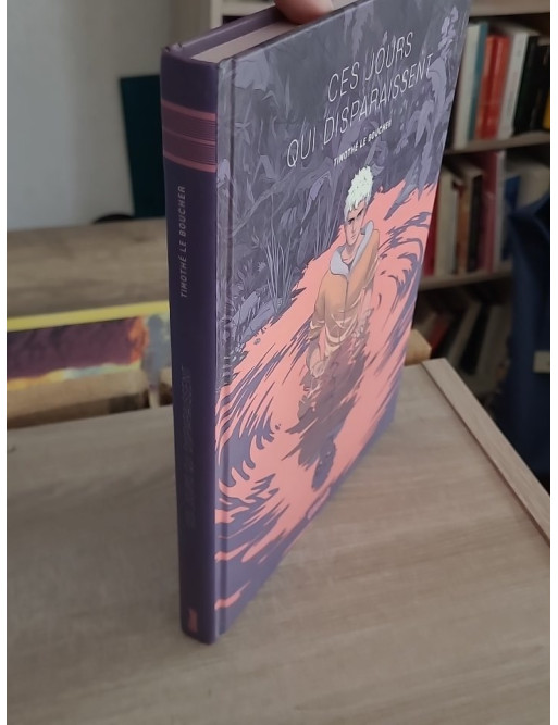 Ces jours qui disparaissent (roman graphique fantastique sur l’identité)