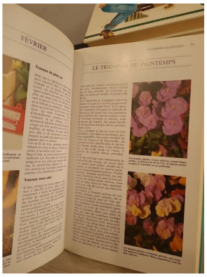 Des fleurs toute l'année - Guide pratique pour un jardin fleuri en toutes saisons