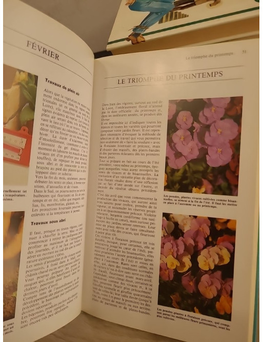 Des fleurs toute l'année - Guide pratique pour un jardin fleuri en toutes saisons