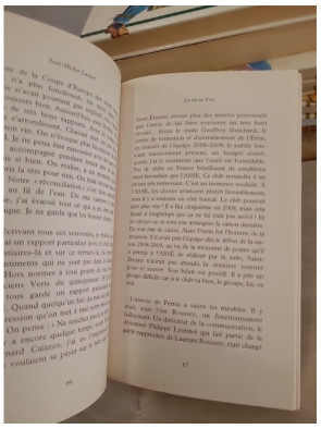 Vert de rage - regard critique sur le football français et ses dérives