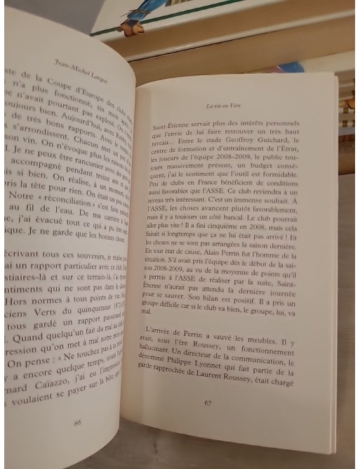 Vert de rage - regard critique sur le football français et ses dérives