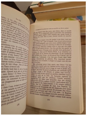 Les naufragés de la Terre sainte - roman historique et enquête au cœur du Moyen Âge
