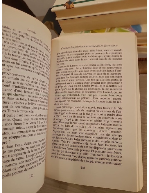Les naufragés de la Terre sainte - roman historique et enquête au cœur du Moyen Âge