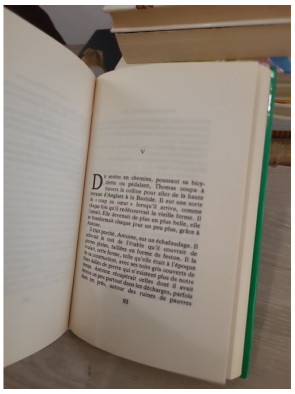 Poly au festival pop - nouvelles aventures du célèbre poney pour la jeunesse