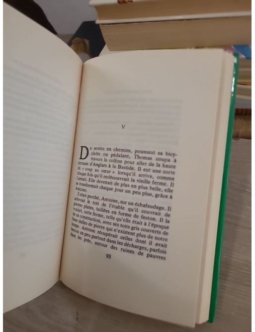 Poly au festival pop - nouvelles aventures du célèbre poney pour la jeunesse