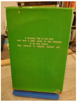 Poly et le diamant noir - aventure jeunesse autour d’un mystérieux trésor