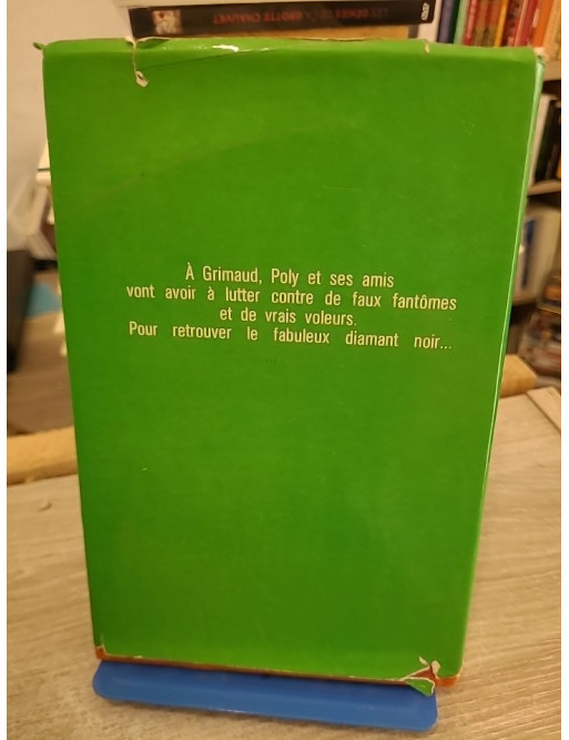 Poly et le diamant noir - aventure jeunesse autour d’un mystérieux trésor