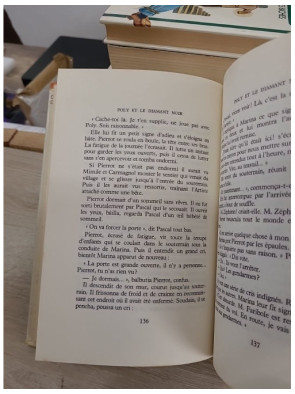 Poly et le diamant noir - aventure jeunesse autour d’un mystérieux trésor