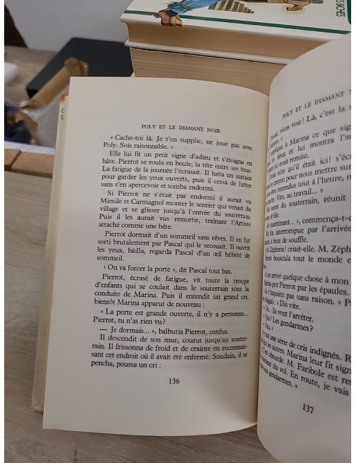 Poly et le diamant noir - aventure jeunesse autour d’un mystérieux trésor