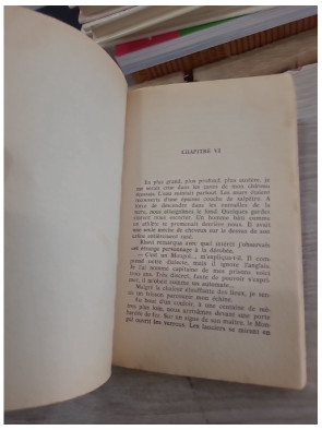 Maik et le Rajah Pourpre - aventure exotique et récit de fiction