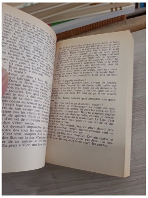 L'Hercule sur la place - roman de vie et portraits d'un village