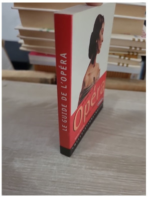 Le guide de l'opéra - Histoire, interprètes et pratique pour découvrir l’art lyrique