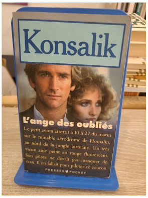 L'ange des oubliés - roman poignant sur destin et mémoire