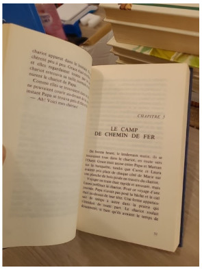La petite maison dans la prairie Tome 3 : Sur les rives du lac