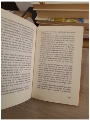 La petite maison dans la prairie Tome 4 : Un enfant de la terre