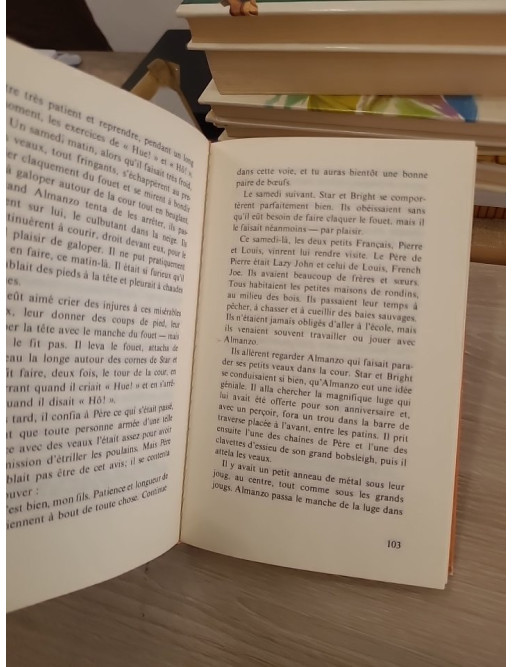 La petite maison dans la prairie Tome 4 : Un enfant de la terre