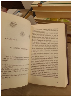 La petite maison dans la prairie Tome 5 : Un hiver sans fin