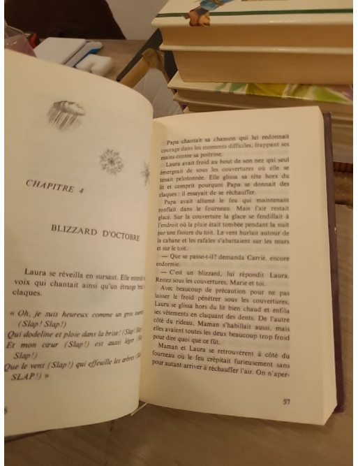 La petite maison dans la prairie Tome 5 : Un hiver sans fin